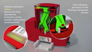 Dehn Red Line Surge Protection Devices [upl. by Eenimod]