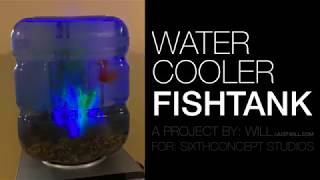 Water Cooler Fish Tank [upl. by Harrie]