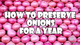 How to preserve onions for long time  How to store onions for a year  Best way to store onions [upl. by Bergess654]