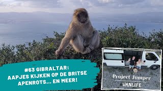 63 Gibraltar Aapjes kijken op de Britse apenrots en meer 🙈 ⛰️ 🇬🇧  Project Jumper VANLIFE [upl. by Nneb]