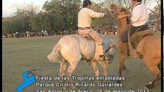 Jineteadas en la fiesta de las tropillas entabladas San Antonio de Areco Mayo 2013  Parte 3 [upl. by Paresh]