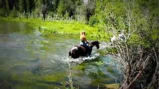 Swimming The Horses In The River [upl. by Anielram11]