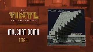 ALBUM REVIEW Molchat Doma  Etazhi [upl. by Colier]