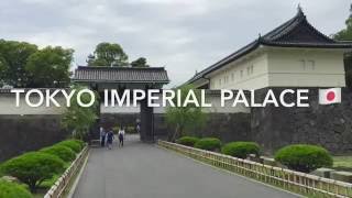 The Imperial Palace Eastern Gardens in Tokyo Japan  皇居 [upl. by Hege]