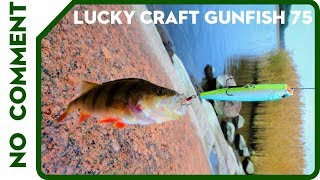 Ловля окуня на поппер осенью Lucky Craft Gunfish 75 [upl. by Dragone]