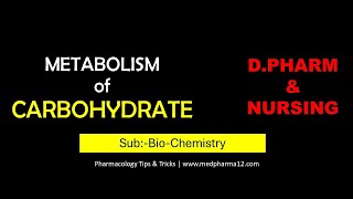 METABOLISM OF CARBOHYDRATE  GLYCOLYSIS  TCA CYCLE [upl. by Ydroj]