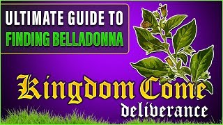 Ultimate Guide to finding Belladonna [upl. by Yelkrab957]