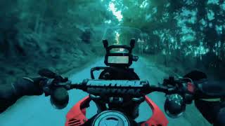 HONDA CRF 300 RALLY  Pure Exhaust Sound  Akrapovič  TAIWAN  ASMR  4K  司馬庫斯 [upl. by Nnyleitak887]