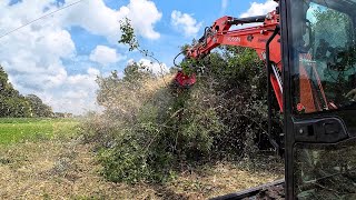 PINPOINT DESTRUCTION Flail Mulcher VS Fixed Forestry Mulcher [upl. by Houghton]