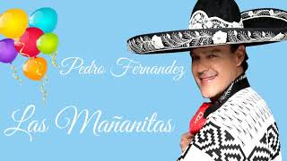 🎉 PEDRO FERNANDEZ 🎁 LAS MAÑANITAS PARA CUMPLIAÑERITOS [upl. by Pauli]