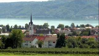 BodmanLudwigshafen  Das Naturparadies am Bodensee [upl. by Einimod]