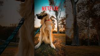 Powered by Netflix and Chill ghost dogbreed pettravel [upl. by Elimac]