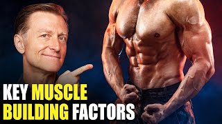 The MOST Important Factors in Building Muscle–Beyond Dietary Protein [upl. by Trubow97]