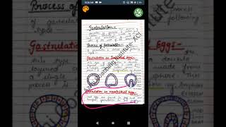 Gastrulation  Process of Gastrulation  Developmental Biology  BSc Zoology  Rehan Khan Sir [upl. by Mella]