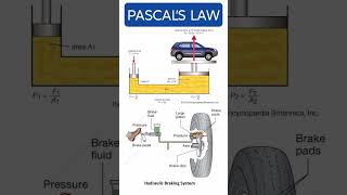 What is Pascals Law mechanicalengineering fluidmechaics [upl. by Ekenna650]