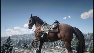 Red Dead Online Hungarian Halfbred Flaxen Chestnut [upl. by Susy]