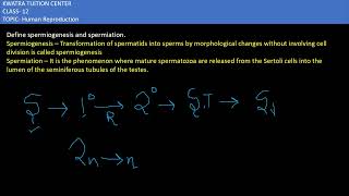 5 Define spermiogenesis and spermiation [upl. by Hgielram]