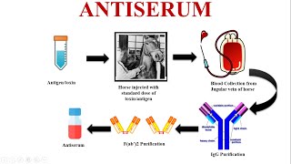 Antiserum An Emergency Tool for Saving Lives [upl. by Annodas]