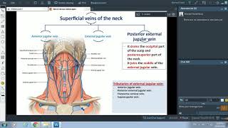 Fascia of the Neck  Dr Ahmed Farid [upl. by Noicpesnoc179]