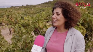 Rioja Wine TV English Carmen Pérez Villota vine grower [upl. by Serica191]