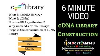 cDNA Library Construction Steps and Advantages 6 minutes [upl. by Higginbotham]