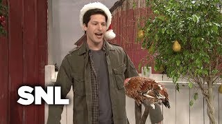 Mark Wahlberg Talks to Christmas Animals  SNL [upl. by Anaujit]