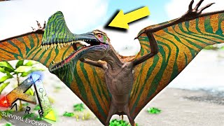 FÁCIL NO SOCO Domesticação Tropeognathus  Crystal Isles ARK Survival Evolved [upl. by Isac875]