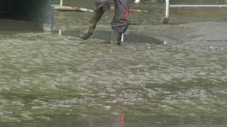 Reportage  Inondation du Sanctuaire de Lourdes se souvenir du 18 juin 2013 [upl. by Rebmyk]