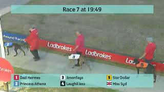 Crayford Greyhounds Races on 1st September 2024 [upl. by Anwahsar]