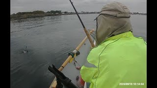 SandabWild Coho double header [upl. by Surtimed]