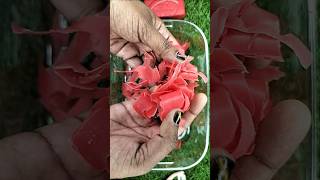 Soap peeling satisfying shortsvideo satisfying trending soapasmr [upl. by Jonah593]