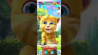 Talking Ginger cat funny videos 🐱🐈😍 [upl. by Cranston]