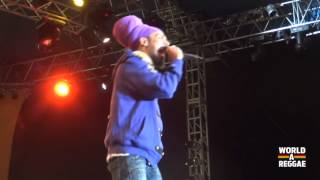 CALI P Live  Rebel Salute 2013  Jamaica [upl. by Can854]