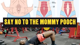 Diastasis Recti Correction Exercises  Say No to the Mommy Pooch  Postpartum Workout [upl. by Baseler]