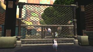 Evolution of MadagascarPenguins movie trailers 20052014 [upl. by Egedan]