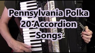 Accordion 20 Songs Dale Mathis Accordion [upl. by Llenram]