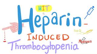 HeparinInduced Thrombocytopenia HIT  A Comprehensive Explanation [upl. by Neelak]