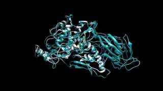 Small RNABased Antiviral Defense in the Phytopathogenic Fungus Colletotrichum higginsianum [upl. by Janith]