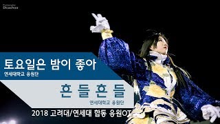 2018 고려대연세대 합동응원OT 토요일은 밤이 좋아 amp 흔들흔들 [upl. by Karalee]