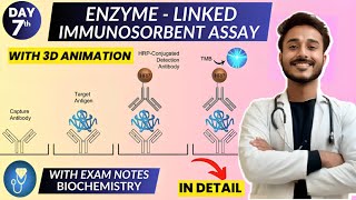 enzyme linked immunosorbent assay elisa biochemistry  Animation [upl. by Nitnerb808]