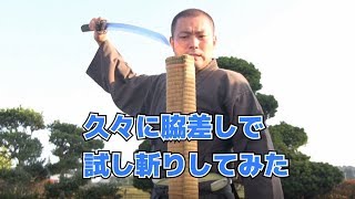 【小太刀】久々に脇差しで試し斬りしてみた Wakizashi［Kodachi］ Tameshigiri） [upl. by Olethea]