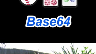 Base64 Explained in Under a Minute  Cybersecurity Basics cute birds hacker web webdevelopment [upl. by Eniarral430]