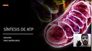 METABOLISMO SÍNTESIS DE ATP [upl. by Sophronia172]