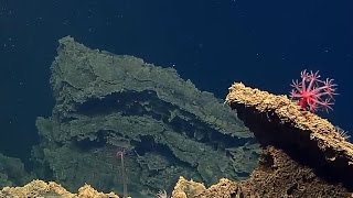 NOAA Feb 24  Inside the crater of Vailulu’u seamount Slideshow [upl. by Yrod]