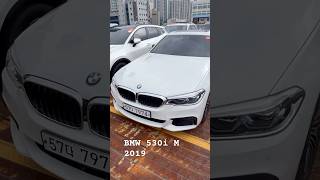 BMW 530i 2019 [upl. by Notirb]