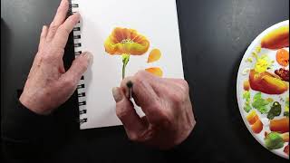 How to Paint a POPPY  One Stroke Art  Acrylic Painting Tutorial [upl. by Clymer971]