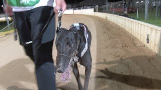 2016 Macey’s Bistro Warrnambool Classic Semi 4 Postrace Interviews [upl. by Ahsitnauq]