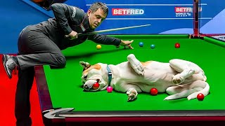 UNEXPECTED SNOOKER MOMENTS [upl. by Brom]