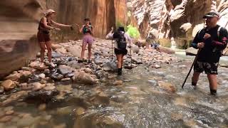 The Zion Narrows SelfGuided Hiking Experience water hiking adventure [upl. by Gustaf]