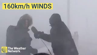 Reporters blown off by 160kmh winds during live blizzard in Nova Scotia [upl. by Satterfield]